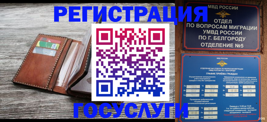 временная регистрация гарантия в Полярных Зорях